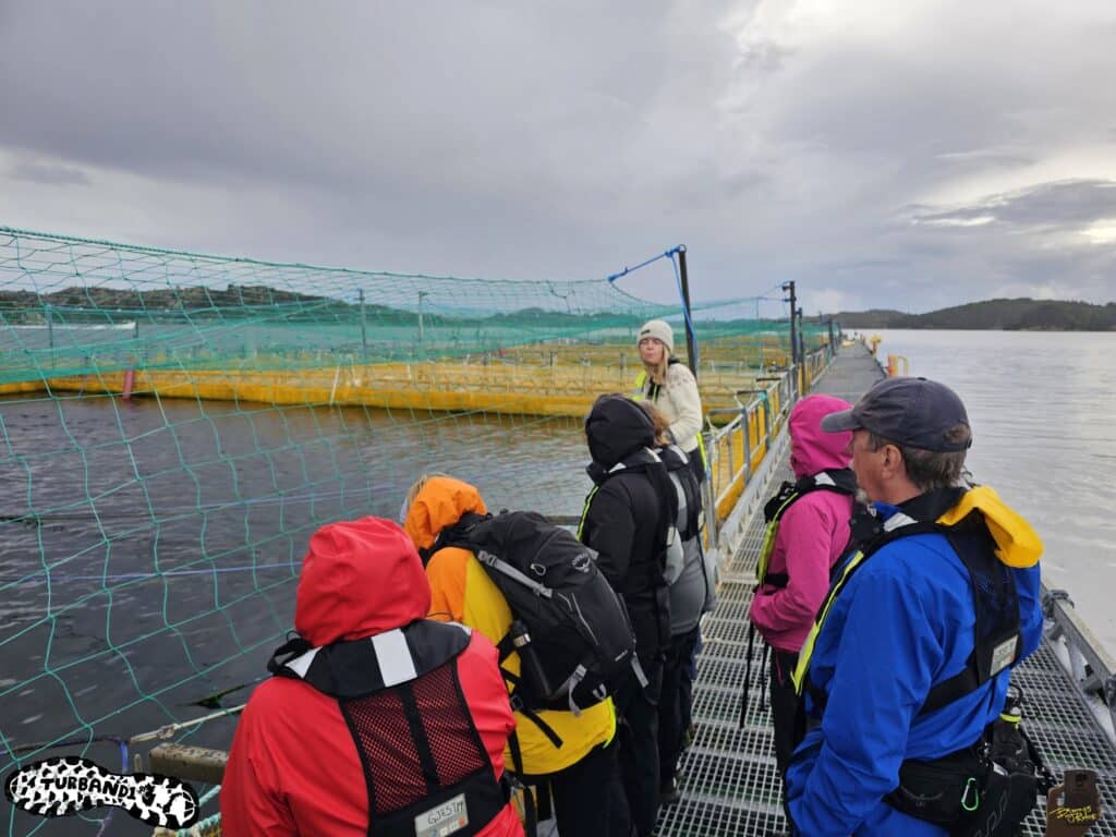 We are looking for 2 show hosts for temporary position 2.