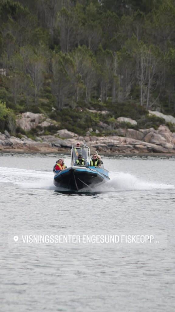 Me søker 2 visningsvertar til vikariat stilling 1